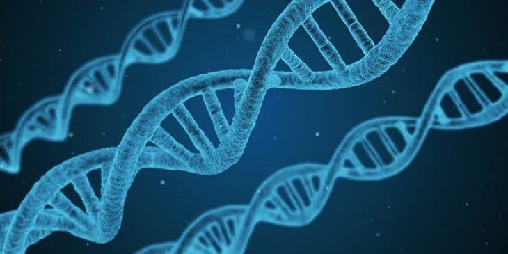 Az öngyilkossággal kapcsolatos 22 gént azonosítottak amerikai kutatók