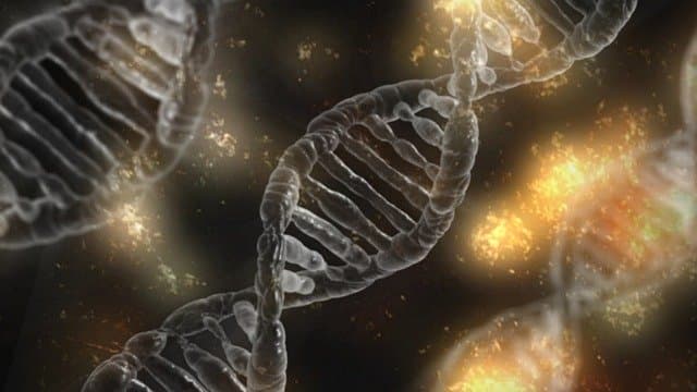 Több mint száz génhez köti az autizmust a téma eddigi legnagyobb kutatása
