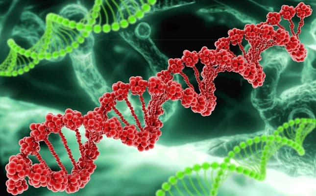 Megháromszorozza a petefészekrák kockázatát a BRCA1 gén mutációja