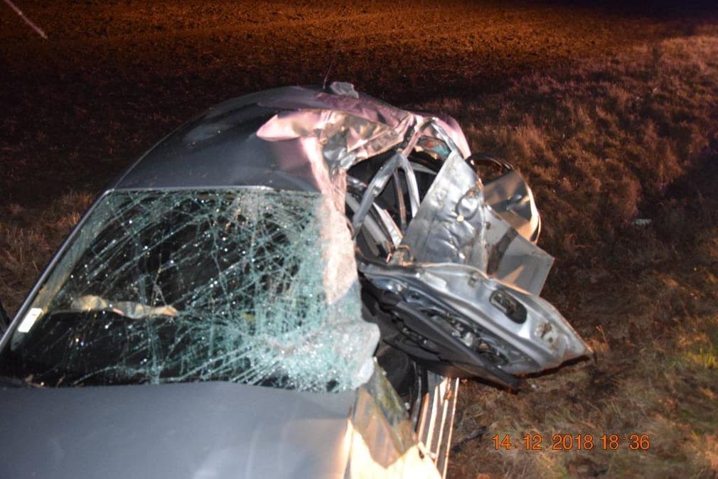 Brutálisan összetört a fának hajtó autó, 38 éves férfi halt meg (FOTÓK)