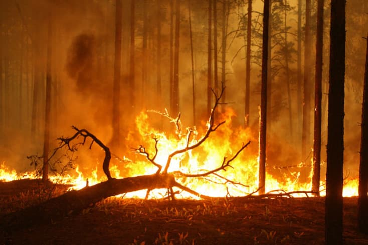 Két hete pusztít erdőtűz egy németországi nemzeti parkban