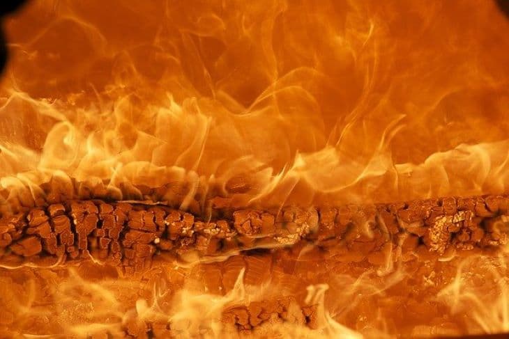 Az ősi növényevő állatok kihalása megnövelte a tüzek keletkezését a füves területeken