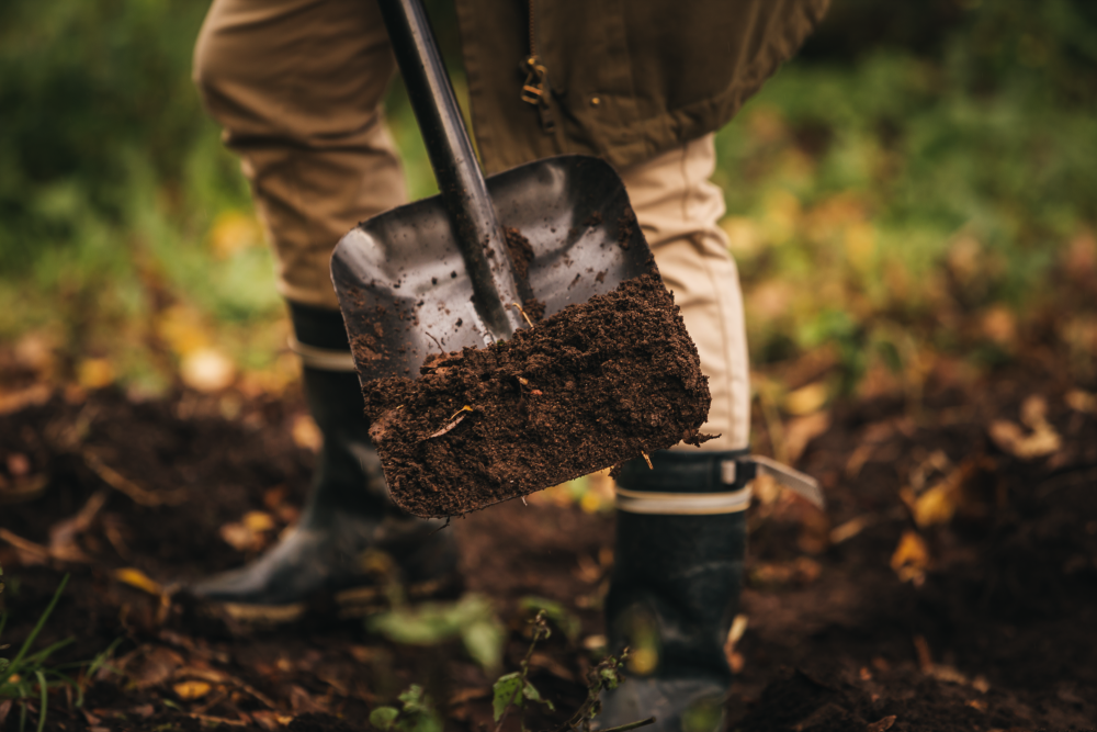 Négy egyszerű, de nélkülözhetetlen eszköz a kertészkedéshez