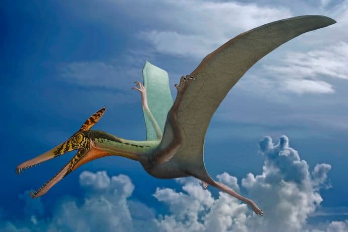 A déli féltekén is éltek "repülő sárkányok" 160 millió éve