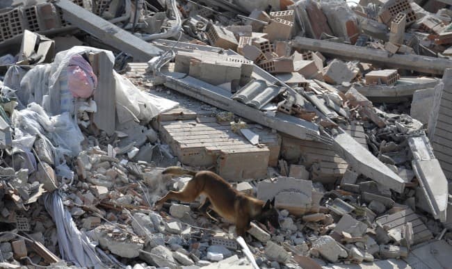 Török-szíriai földrengés - Meghaladta az 50 ezret a halálos áldozatok száma
