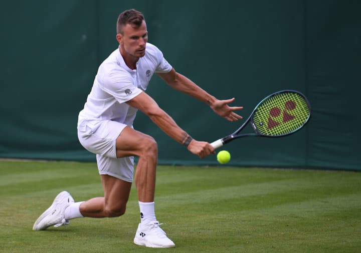 Wimbledon: Fucsovics nem bírt a volt világelső Medvegyevvel
