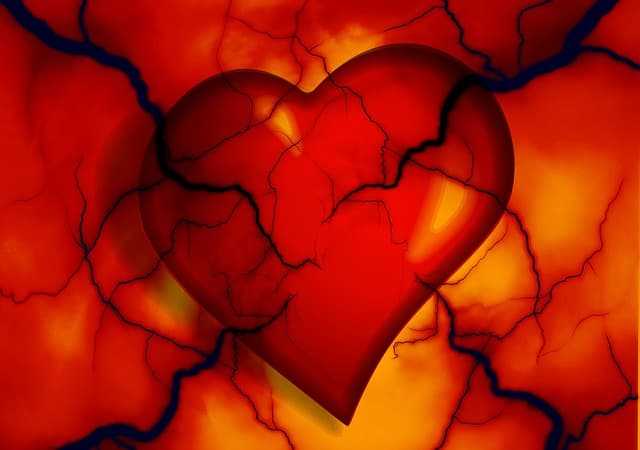 A szívbetegségek megelőzését segítő új módszeren dolgoznak kínai kutatók