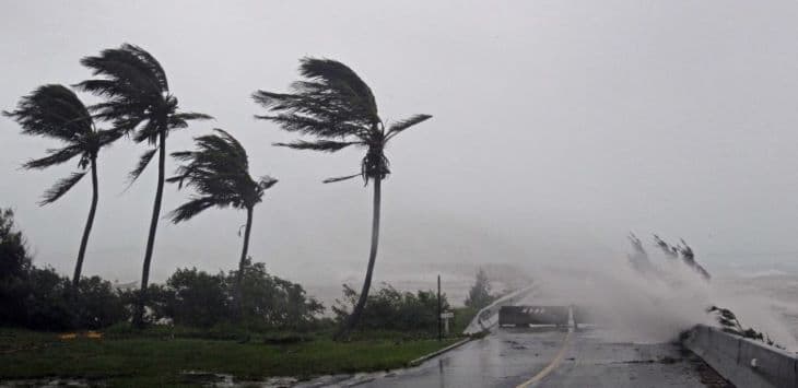Hurrikán végzett pusztítást Floridában
