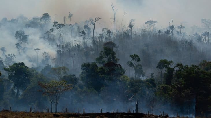 Megháromszorozódtak az erdőtüzek a világ legnagyobb trópusi mocsárvilágában
