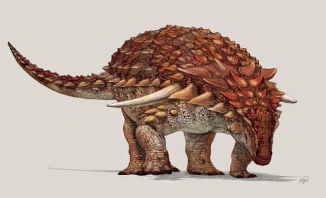 Képes volt álcázni magát egy 110 millió évvel ezelőtt élt "tankszerű" dinoszaurusz