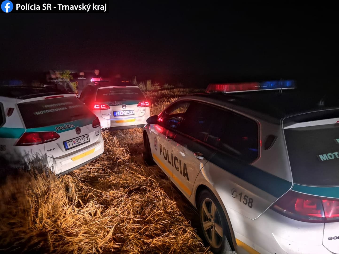Árkon-bokron hajtott a zsaruk elől menekülő BMW-s, nagyon rossz vége lett (FOTÓK)