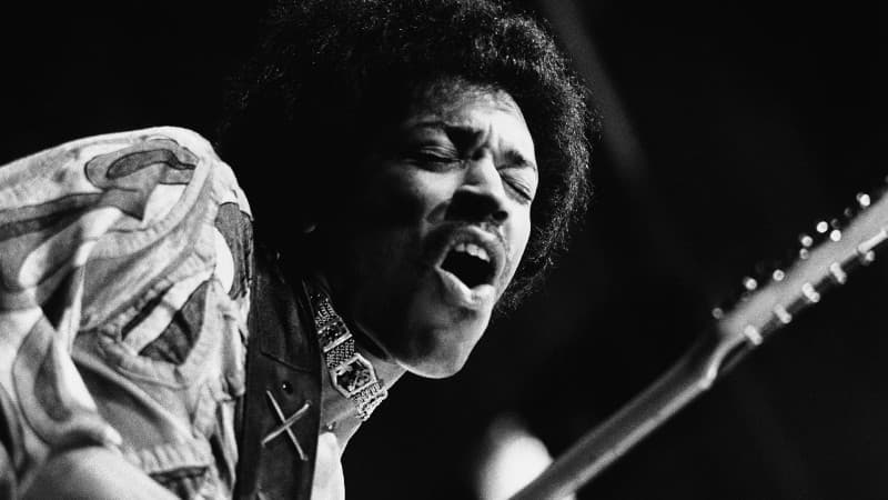 Jimi Hendrixről neveztek el egy ritka növényfajt