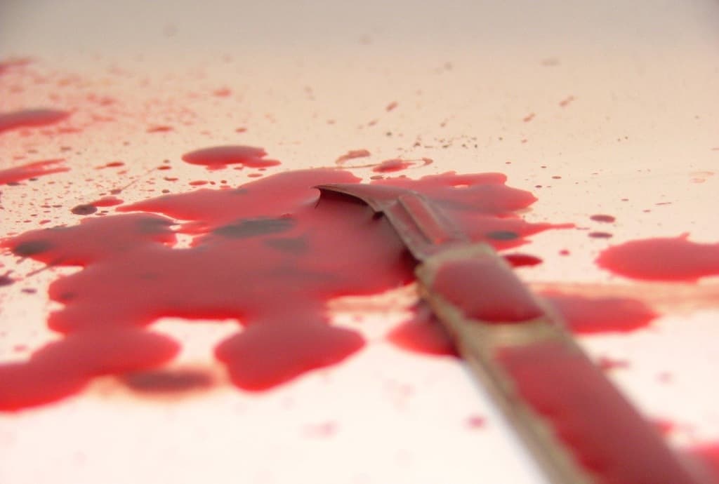 VÉRFAGYASZTÓ: Késsel támadt az élettársára a fiatal nő, vérben ázva találtak a férfira