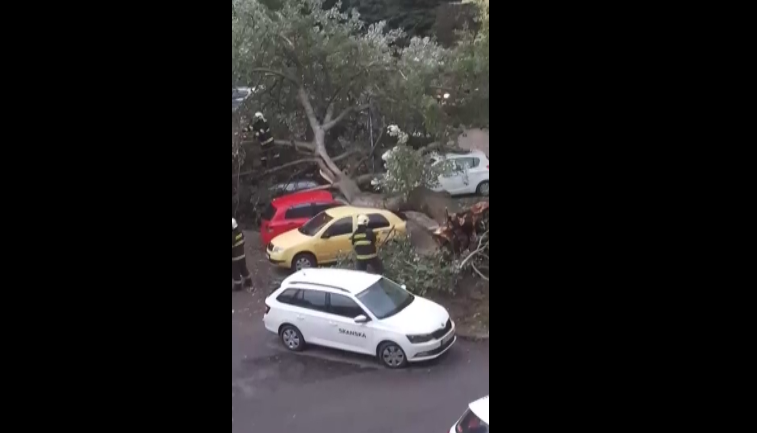 Kidőlt egy hatalmas fa Pozsonyban, öt parkoló autóban tett kárt (videó)
