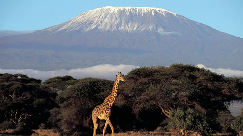 Több mint 250 elnyomott afrikai nő készül megmászni a Kilimandzsárót