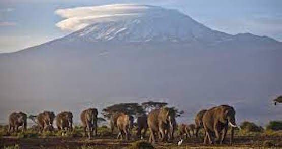 Tűz ütött ki Afrika legmagasabb hegyén, a Kilimandzsárón