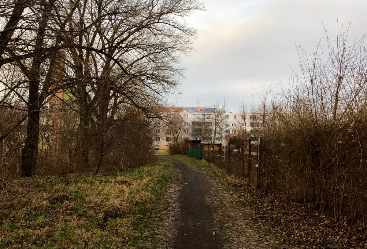 Ki kell vágni a fákat, hogy megépülhessen az átkötőút az Észak II-es lakótelepre Dunaszerdahelyen