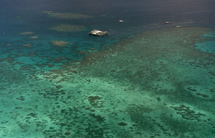 Felére csökkent a világ korallzátonnyal borított területe az 1950-es évek óta