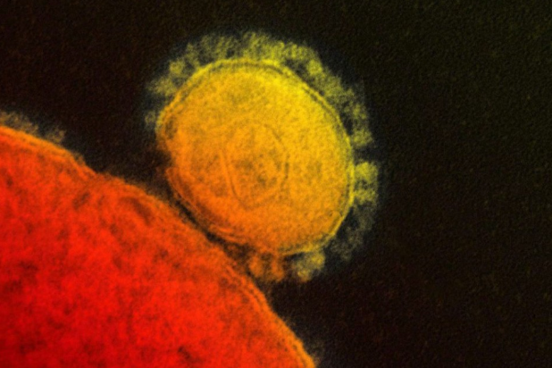 Koronavírus: Tovább nőtt az olaszországi fertőzöttek száma