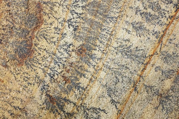 Félmillió éves kövületeket fedezett fel egy négyéves kisfiú