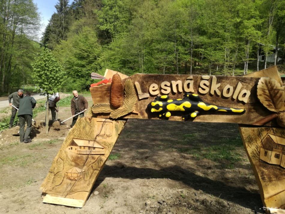 Erdei iskolákat létesítettek Léván és Somoskőn szlovák és magyar erdőgazdaságok közösen