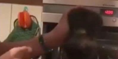 Megrázó videó: Forró sütőben kínoztak egy kismacskát a tinik 18+