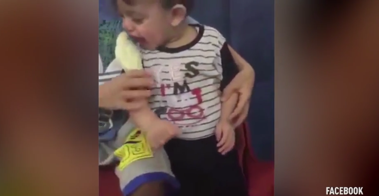 A kisfiú nem tudta, hogy az élő madarakba nem szabad beleharapni... (videó)