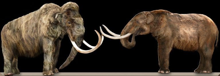Mamutvadászatra használt 15 ezer éves vermet találtak Mexikóban