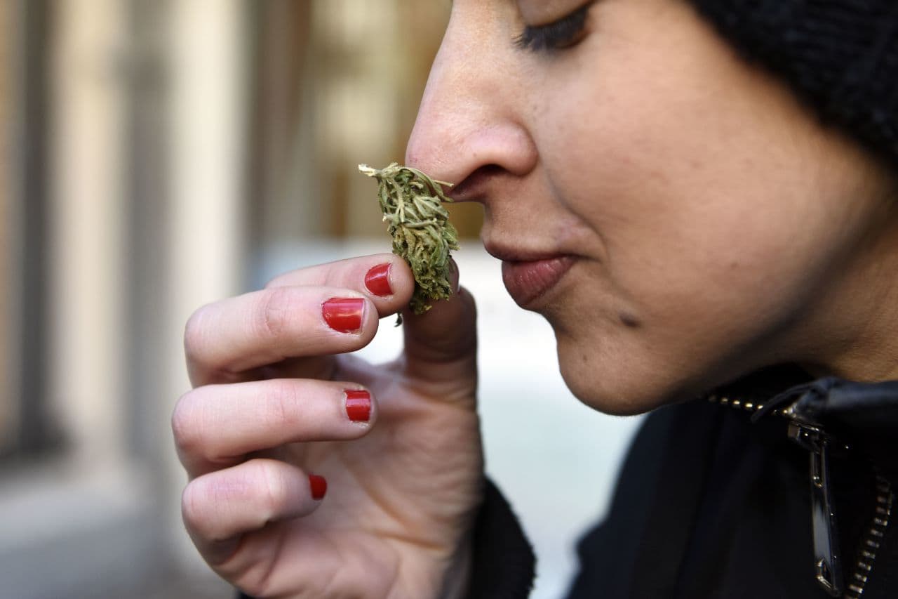 Már a 16. amerikai államban legalizálták a marihuánát, Virginia az első déli