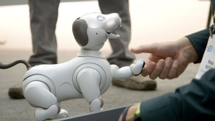 Robotokkal enyhítik az emberi kapcsolatok hiányát Japánban