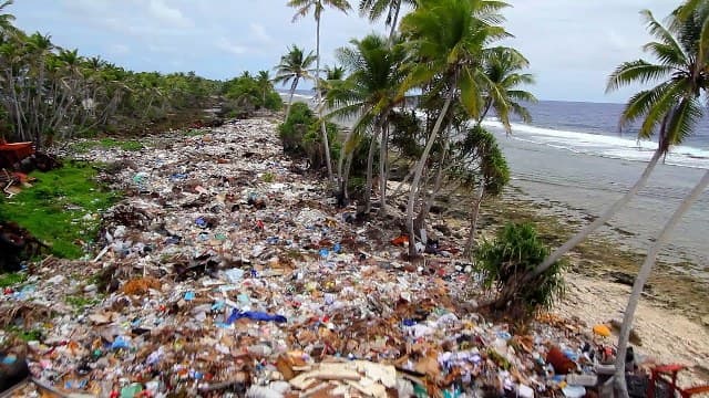 Naponta több mint 40 tonna szemetet takarítottak össze egy indonéz sziget partjairól