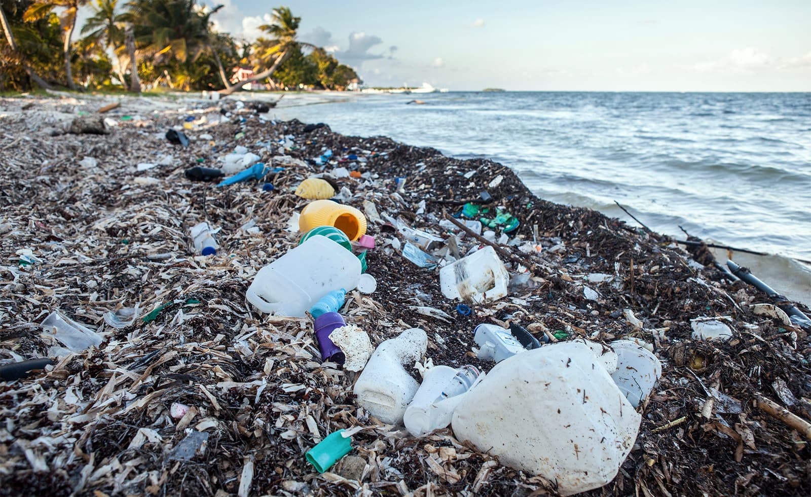 A műanyagszemét drasztikus csökkentését követelik a tudósok
