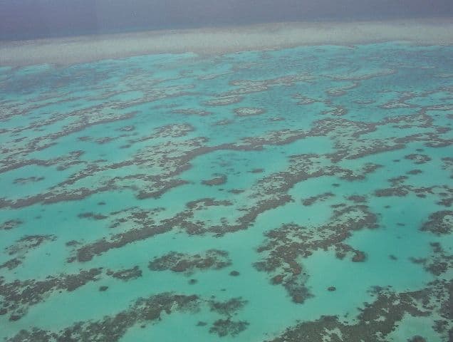 Továbbra sem kerül a veszélyeztetett világörökségi helyszínek közé a Nagy-korallzátony