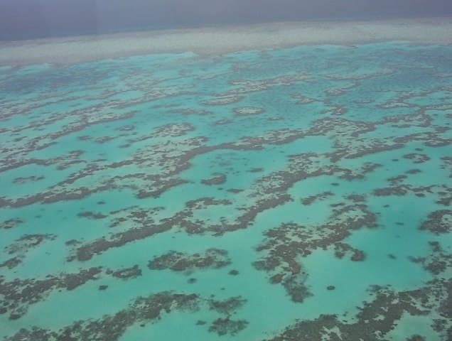 A szennyezett folyóvíz a Nagy-korallzátony "gyógyulásának" legnagyobb akadálya