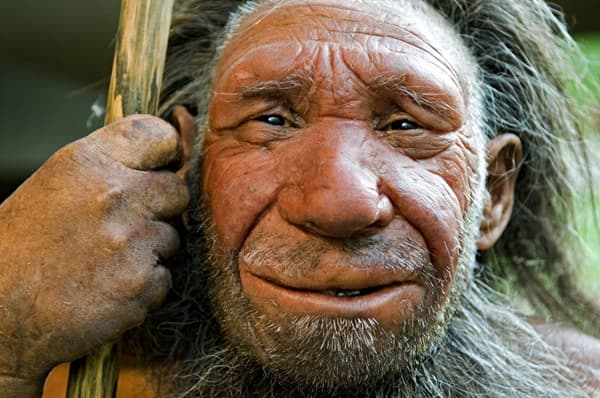 Kiderült, mit evett a neandervölgyi ember