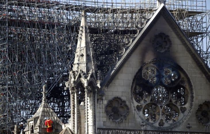 Notre-Dame: Kiválasztották az újjáépítéshez szükséges 1000 tölgyfa első csoportját