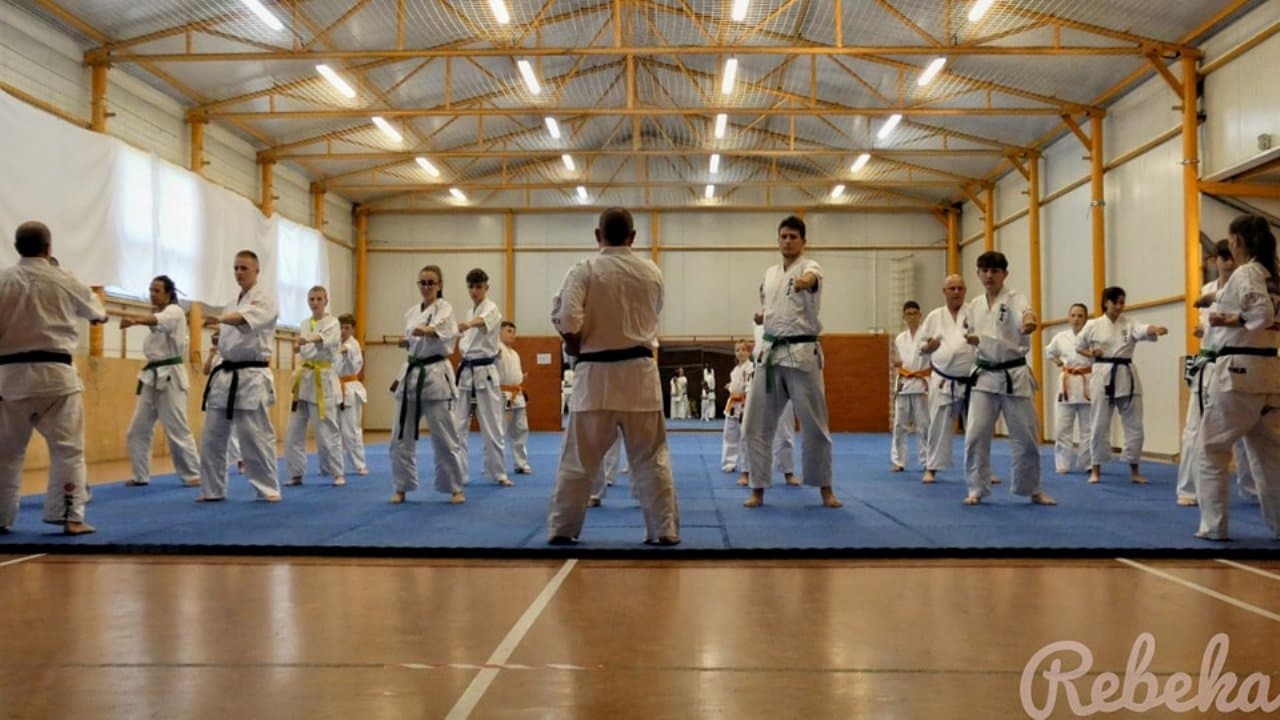 Övvizsgával egybekötött nemzetközi edzőtábor zajlott a Seishin Karate Klub szervezésében (FOTÓK)