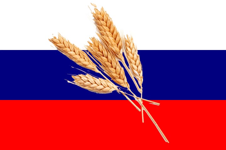 Oroszországban csökkenhet a gabonaexport - mutatjuk, hogy miért