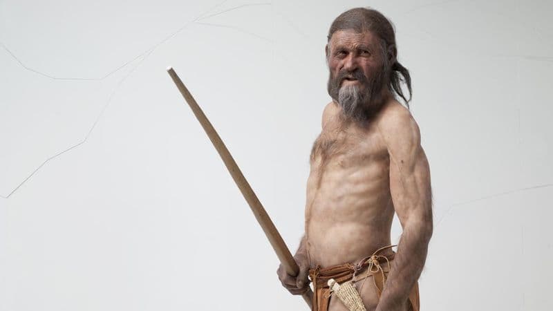Ötzi, a gleccsermúmia bőre sötétebb, haja kevesebb lehetett