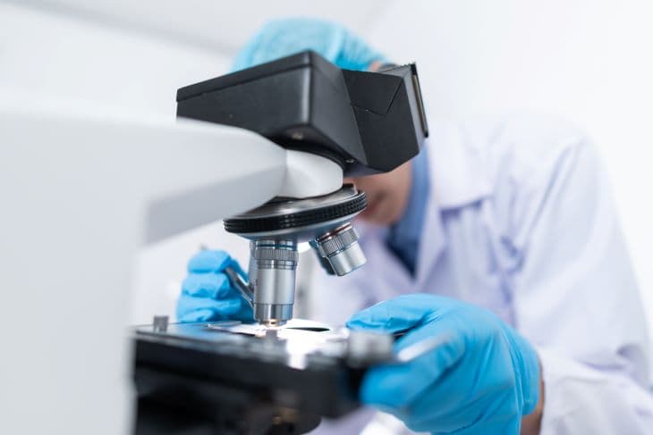 Izraeli tudósok szintetikus embriót készítettek megtermékenyített petesejt nélkül