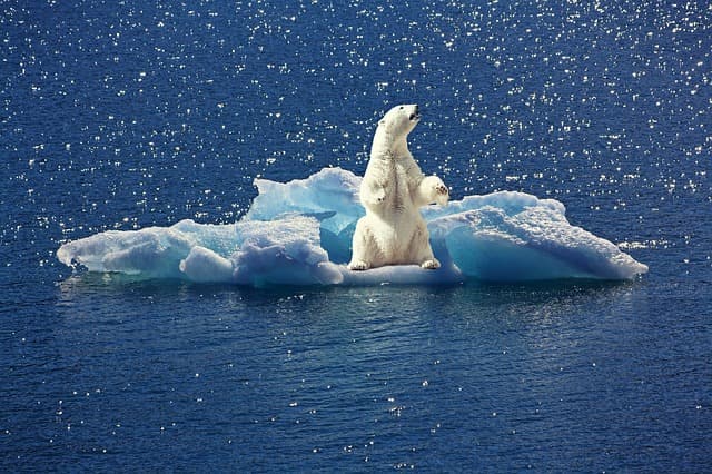 A Greenpeace megmutatta, hogyan pusztult a Föld 10 év alatt (FOTÓK)