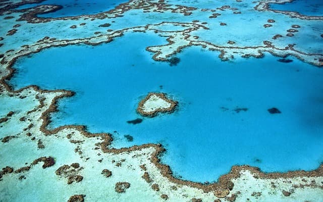 Tizenkét évbe is telhet a korallzátonyok teljes regenerálódása egy tömeges korallfehéredés után