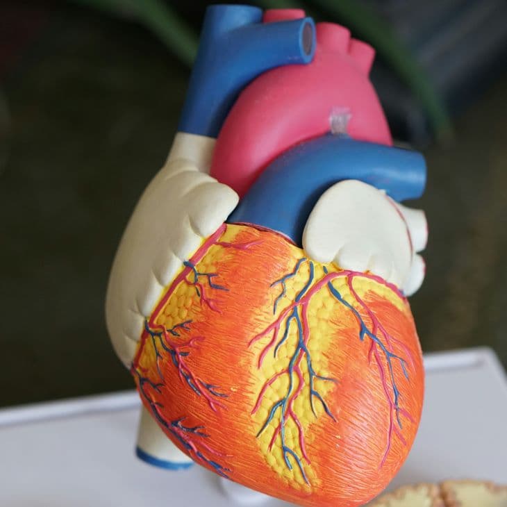 A szívtranszplantáción átesett férfi bekerült a Guinness Rekordok Könyvébe - ő él a legtöbb ideje átültetett szívvel (VIDEÓ)