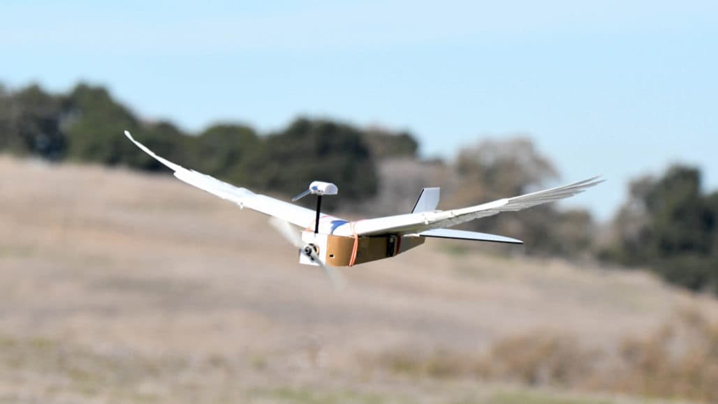 Először fejlesztettek tollas szárnnyal repülő robotot - VIDEÓ