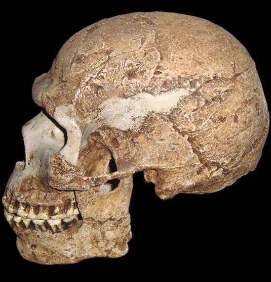 A Homo sapiens legkorábbi sírját tárták fel Afrikában