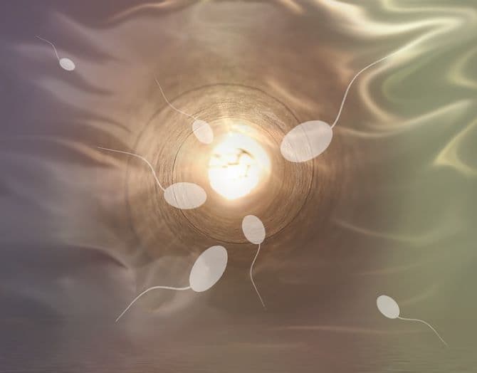 Reprodukciós válság fenyegetheti az emberiséget a spermiumszám csökkenése miatt