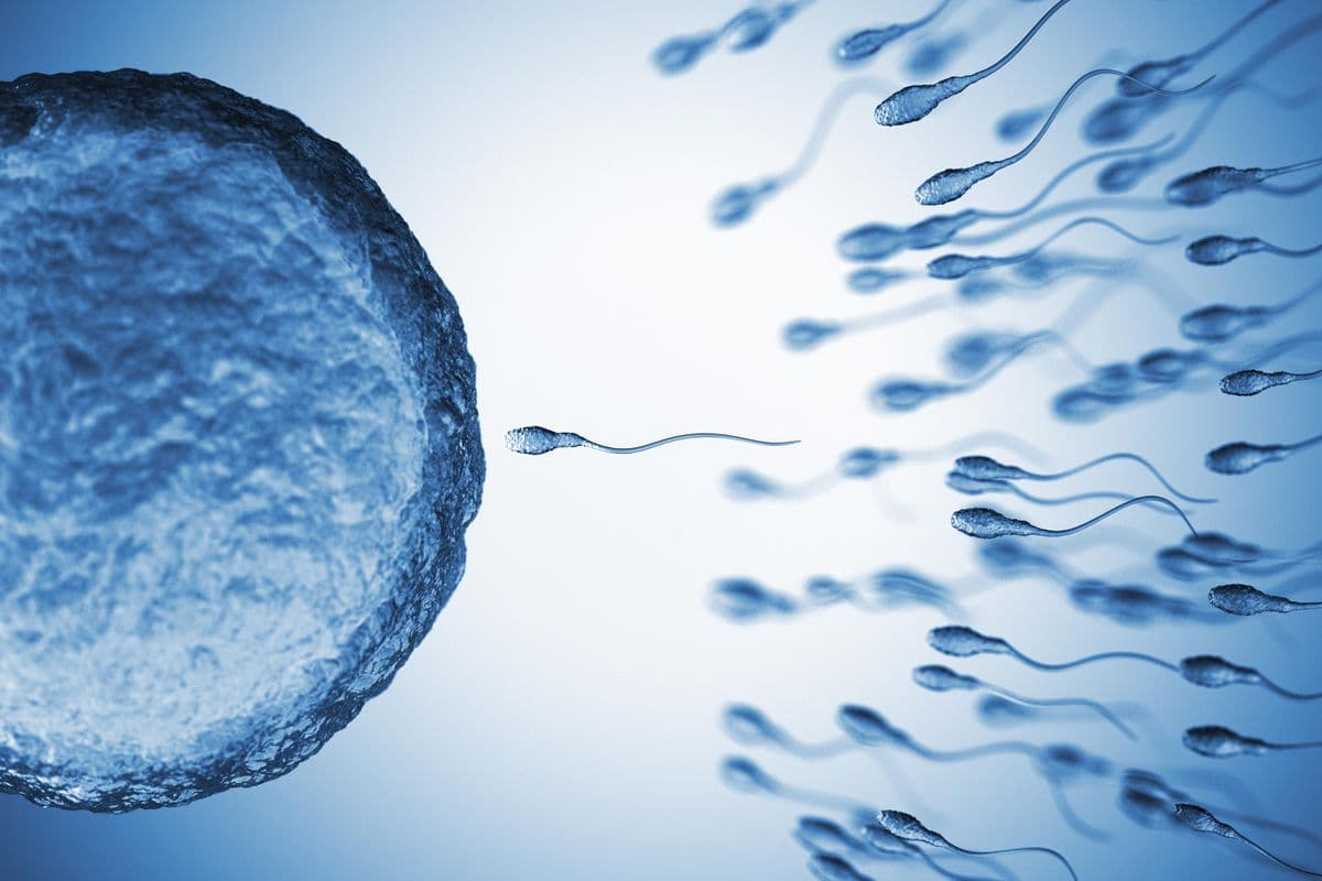 Kiderült, hogyan hat a spermára az mRNS-oltás