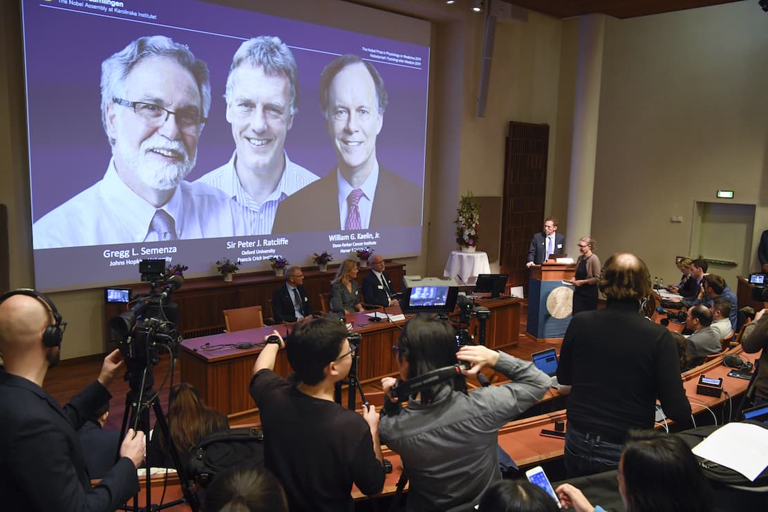 Nobel-díj - Sejtkutatásért hárman kapják az orvosi Nobel-díjat