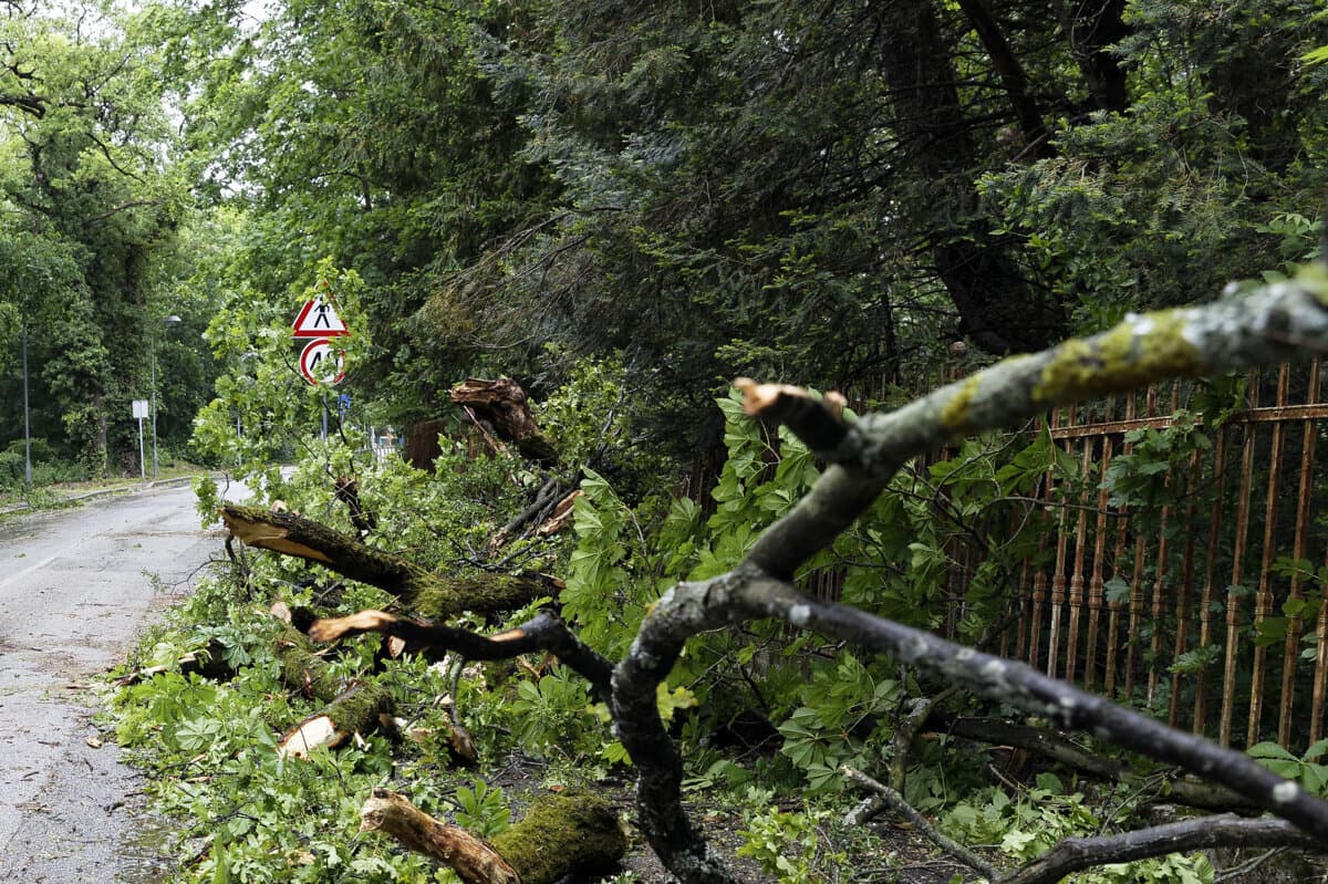 Heves szélvihar csapott le Finnországra, 60 ezer háztartásban nincs áram