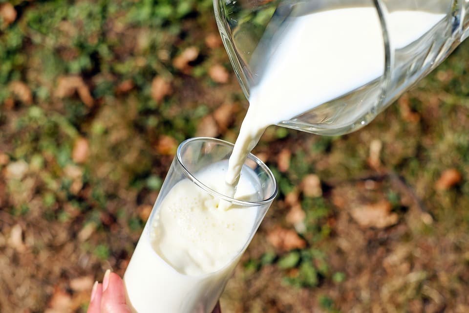 Kínába exportálhatják a szlovák tejet